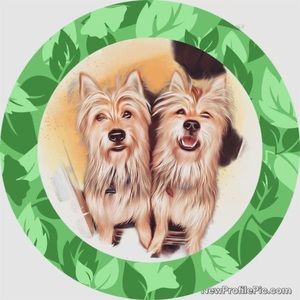 Meet your Posher, Kari